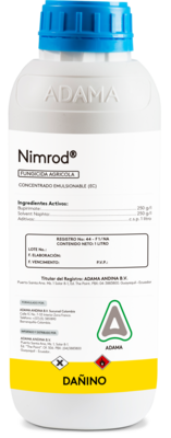 Nimrod litro